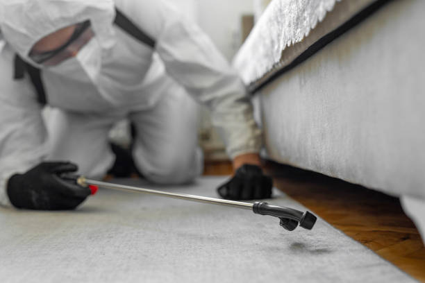 Professional Bed Bug Control technician working in Eastport, NY