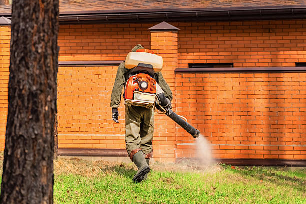 Trusted Termite Control service in Eastport, NY - Nex Pest Control